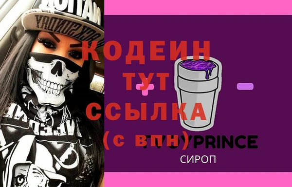 apvp Богданович